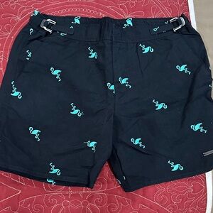Parke & Ronen Black Swim Trunks with Teal Flamingo Motif